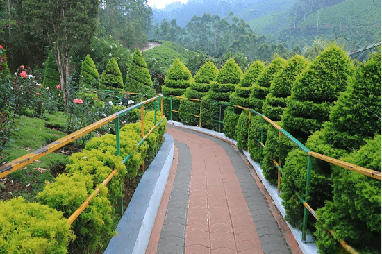 KFDC Flower Garden