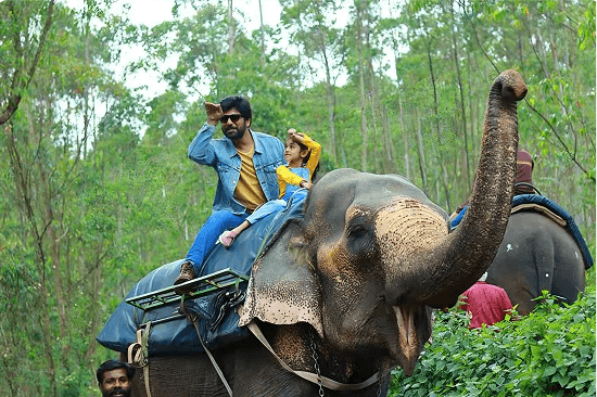 Carmelagiri Elephant Park
