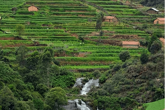Kanthaloor