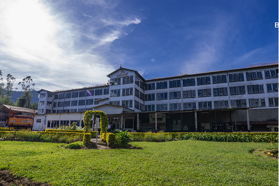 Harrison Malayalam Tea Factory, Lockhart