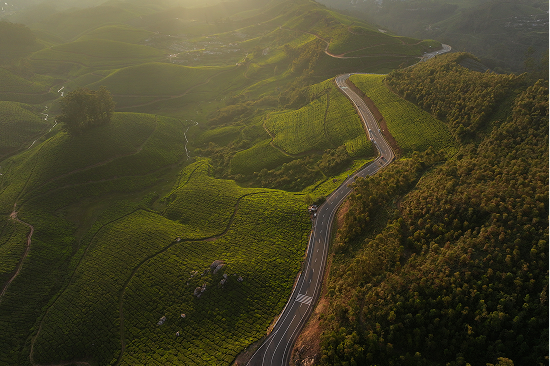 Kolukkumalai Tea Estate