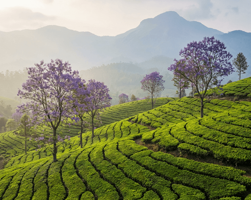 Seasonal Waterfalls — Water Everywhere