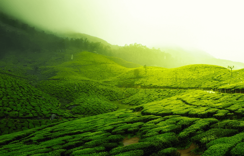Ground Frost, Fog & the Cold Light