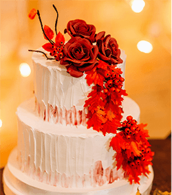 Custom celebration cake