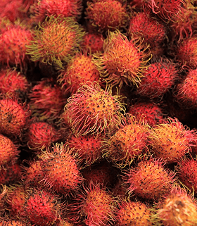 Rambutan