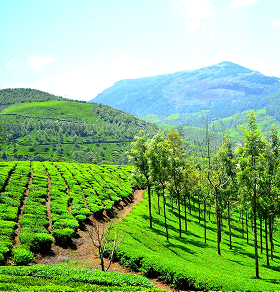 Clear-view drives along the valley