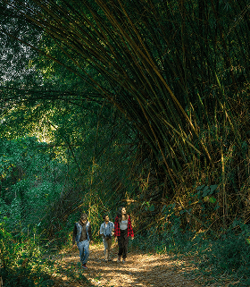 Nature Walk