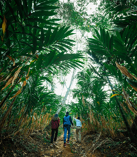 Spice Plantation Visit